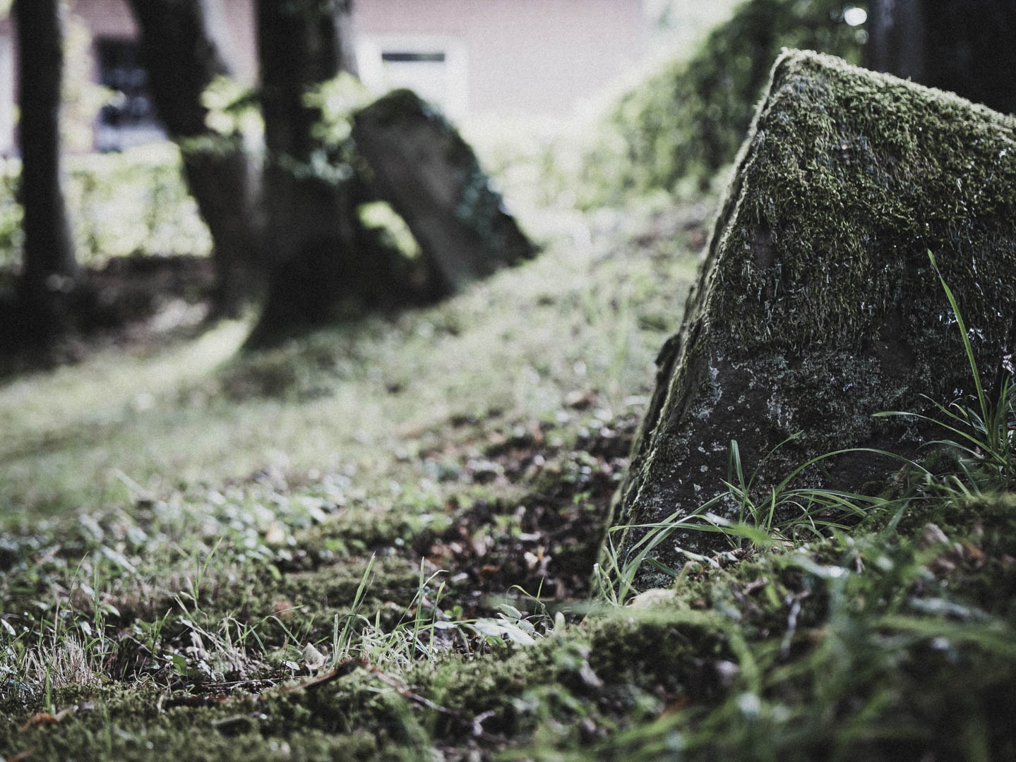 Lichtenau (Westfalen), Jüdischer Friedhof